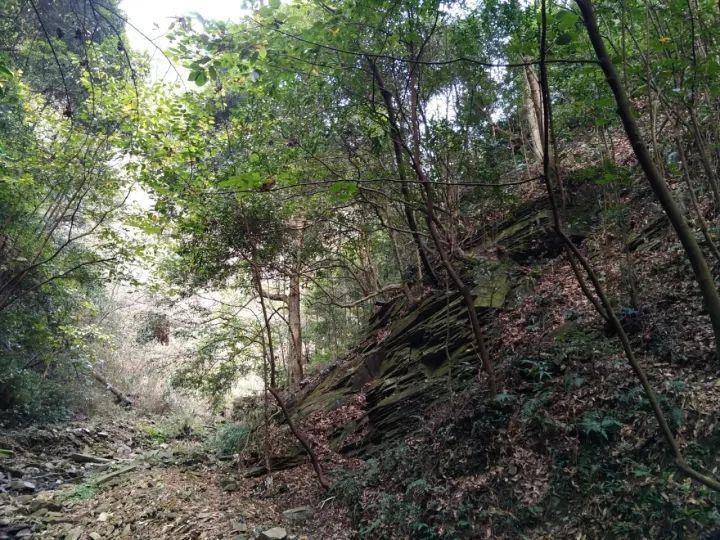 国网金华供电公司:雨雪来袭 特巡特护电动汽车充电站